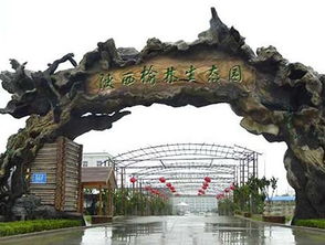 生態(tài)園的靈魂構(gòu)筑 解析假樹大門的設(shè)計(jì)與營造